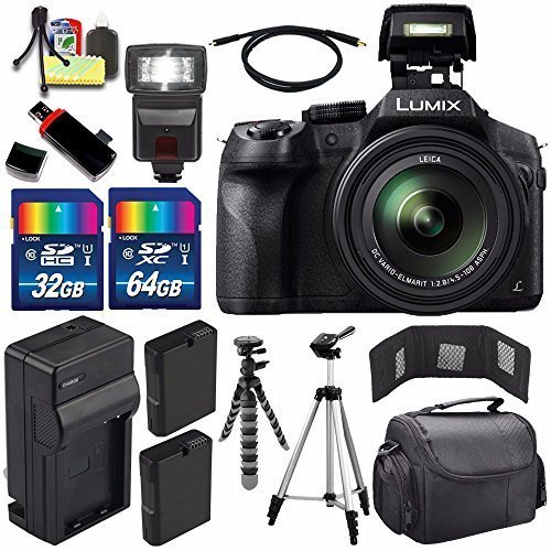 Panasonic Lumix DMC-FZ300 Digital Camera + Extra Battery + Charger + 96GB (Panasonic Fz200 Best Settings)