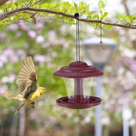 Amazon Com Wild Bird Feeder Hanging Design With Seed Tray