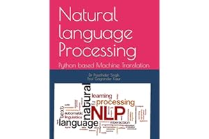 Natural language Processing: Python based Machine Translation