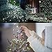 Weepong Solar String Lights, Outdoor String Lights with 100 LEDs 33 Foot Silver Copper Wire 8 Mode Waterproof Solar Starry Lights for Wedding Garden Home Party Patio Lawn Trees (Cold White 2 Pack)