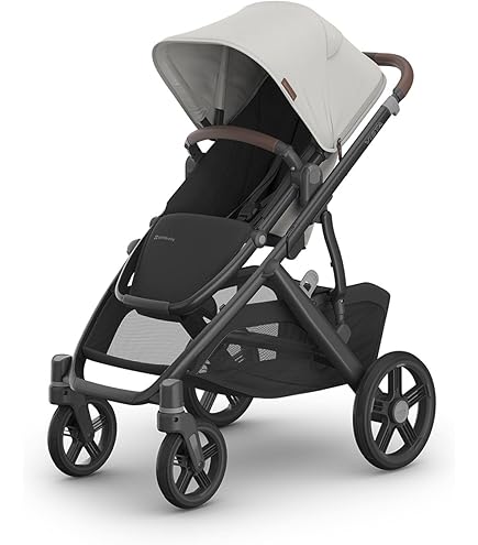 Amazon.com : Evenflo Pivot Xpand Modular Stroller with Second Seat,  Converts from Single to Double : Baby
