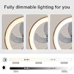WenineStar 20” Ceiling Fan with Light, Dimmable