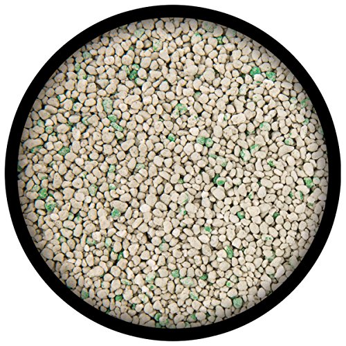 Purina-Tidy-Cats-LightWeight-Clumping-Cat-Litter