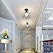 KOONTING Vintage Industrial Rustic Flush Mount Ceiling Light, Metal Pendant Lighting Lamp Fixture for Hallway Stairway Porch Bedroom Kitchen.