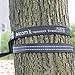BLOOM Hammock Straps (Set of 2) + Free 2 Carabineers+Tree Friendly-Fast & Easy Setup Heavy Duty Adjustable 40 Loops
