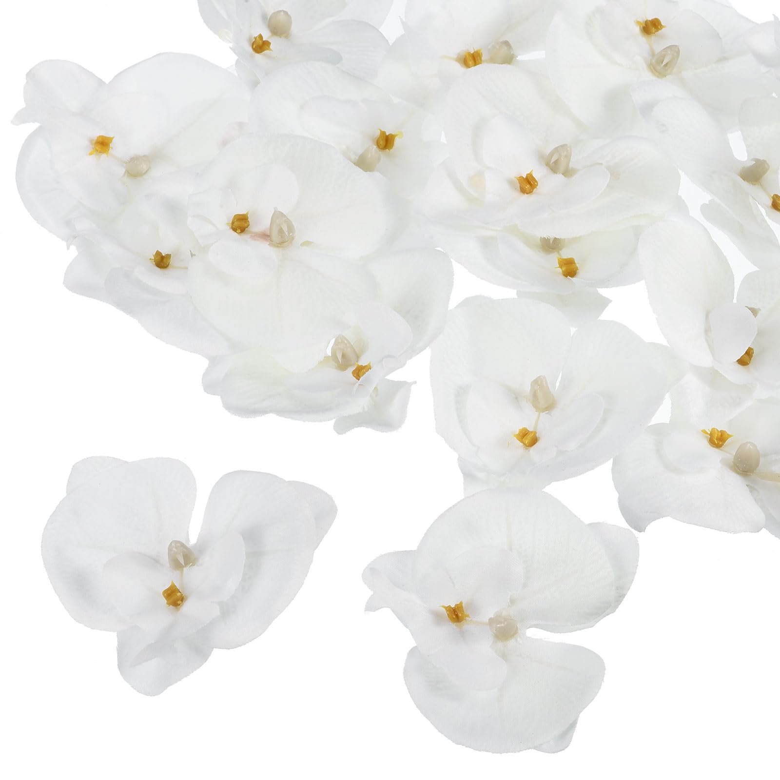 M METERXITY 20 Pack Artificial Silk Butterfly Orchid Flower Heads - for Event Decoration, Apply to Wedding/Party/Festival/DIY (2.8", Pure White)
