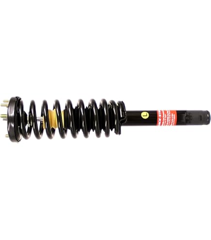 Amazon.com: Monroe Quick-Strut 171372 Suspension Strut and Coil