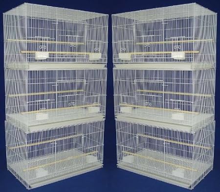 bird breeding supplies