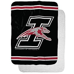 University of Indianapolis UIndy Greyhounds Primary