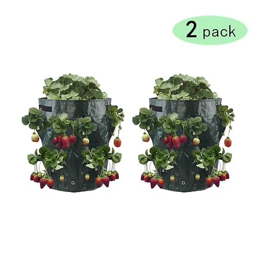 K9CK Bolsas para Plantas, Bolsa de Plantación, Bolsa de ...