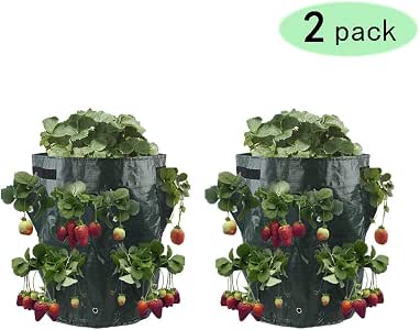 K9CK Bolsas para Plantas, Bolsa de Plantación, Bolsa de ...
