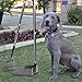 TNELTUEB Dog Pooper Scooper, Metal Pet Poop Tray and Rake with Long Stainless Handle Best Bin with Rake for Large Dog