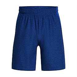 Under Armour Men's Tall Size Vent Shorts, Tech