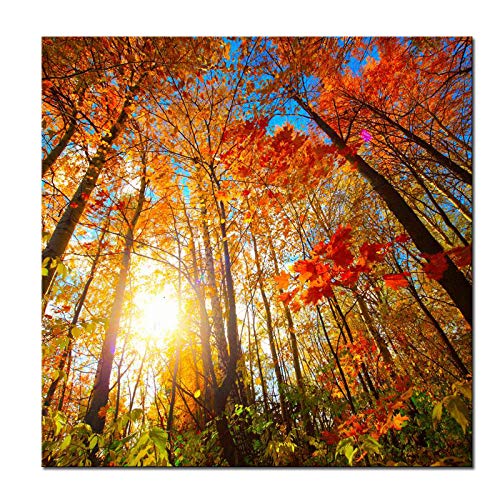 Pyradecor Large Canvas Prints Wall Art Last Hint of Sunset Pictures
Paintings for Living Room Bedroom Home Decorations Modern Stretched and
Framed Nature Landscape Artwork