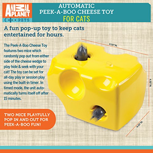 Animal Planet Automatic Peek A Boo Mouse Cheese Interactive