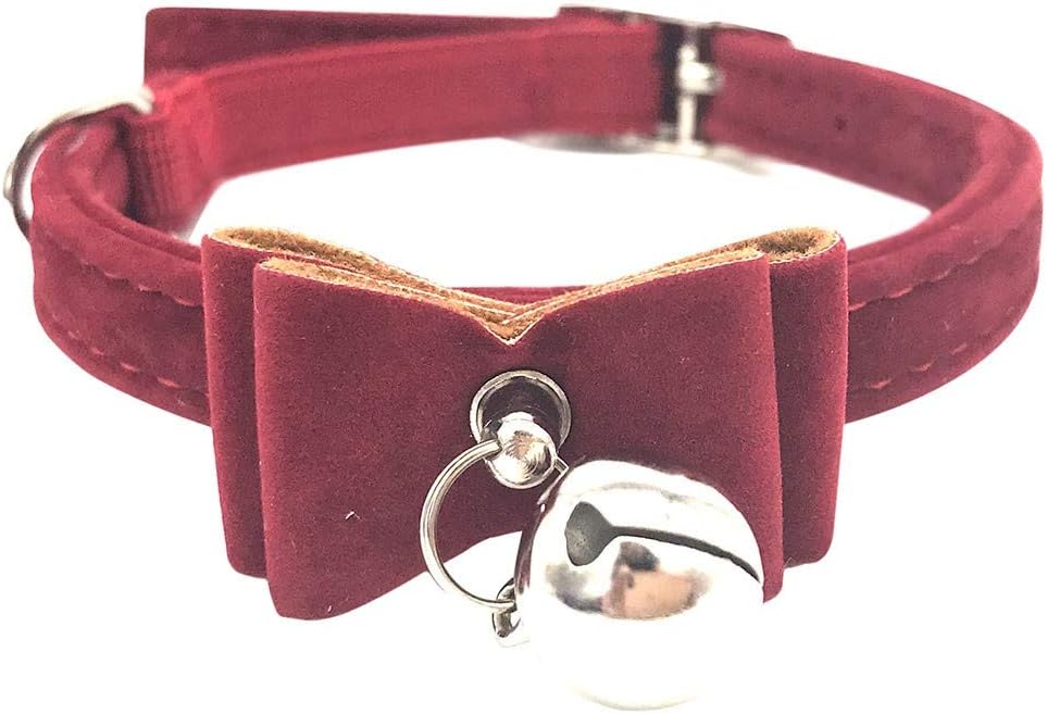 من ناحية أخرى النادل تخفيض السعر Clochette Sur Les Colliers Des Chats Findlocal Drivewayrepair Com