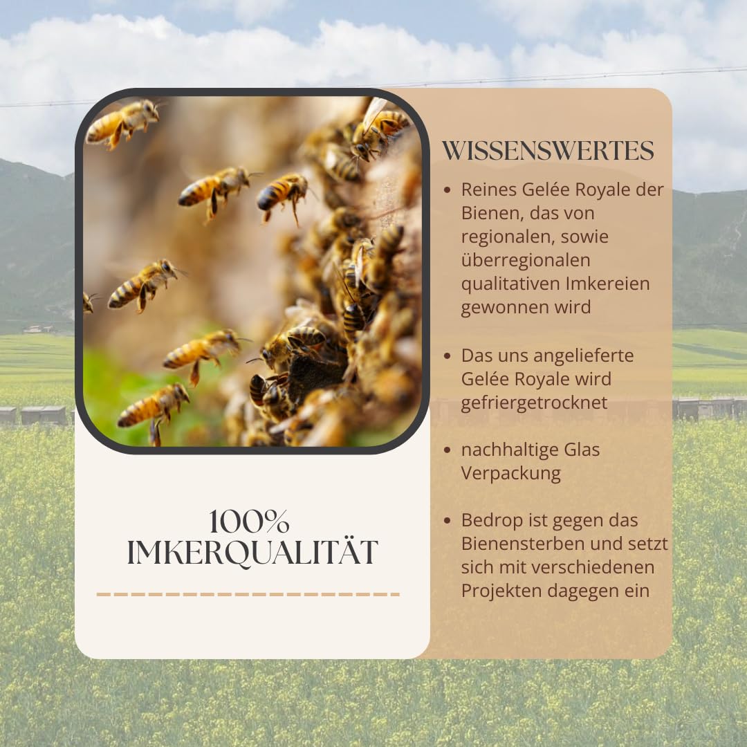bedrop Bee Cream Bienengiftsalbe hochdosiert (kühlend & wärmend) - Bienengiftcreme mit Bienenwachs & 8 Kräuterextrakten u.a. Aloe Vera, Ringelblume, Eukalyptus und Rosskastanie (3x 100g Sparset)