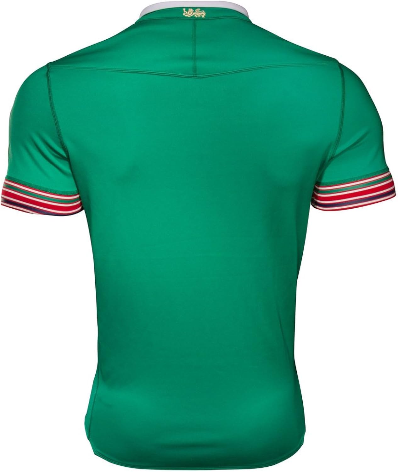 british irish lions jersey