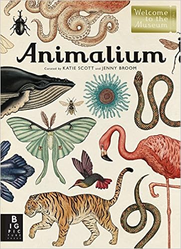 Resultado de imagem para katie scott animalium (welcome to the museum)