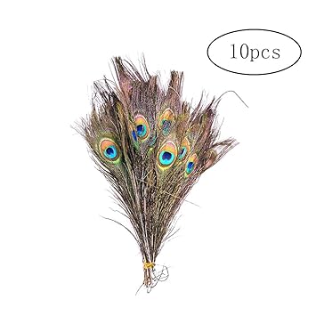 Buy Beito 10pcs Set 11 8 Inch Big Natural Peacock Tail Eye