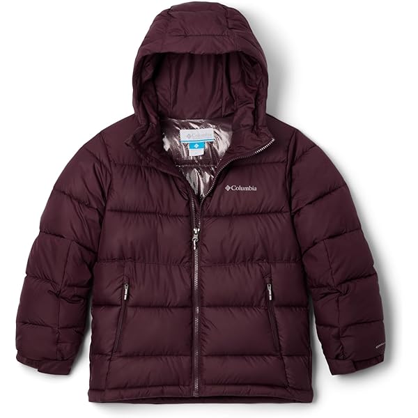 Amazon.com: Columbia Youth Unisex Pike Lake II Hooded Jacket, Aqua