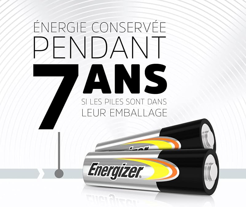 Alkaline Power Piles AA (Lot de 48), 1,5V, Énergie Longue durée