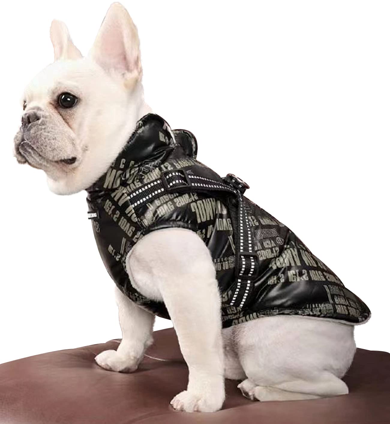 Warm Waterproof Dog Coat, Fleece Lined Vest, Adjustable Dog Clothes with Harness Ring, Reflective Leash, Adjustable Zip Sleeveless (Medium, Black)
