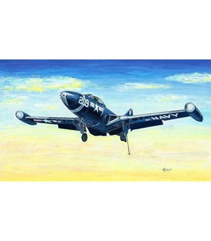 Amazon.com: Trumpeter 1/48 F9F2P Panther US Navy Fighter Model Kit