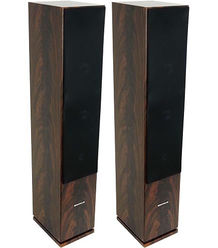 Amazon.com: Rockville Pair Lux 658 Black Dual 6.5