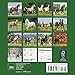 Horses Mini Wall Calendar 2017
