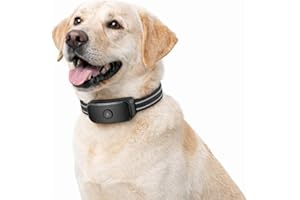 YHpet GF03-GPS Dog Fence, Wireless Dog Fence with No Subscription, Virtual Dog Containment System with Customizable Boundary,