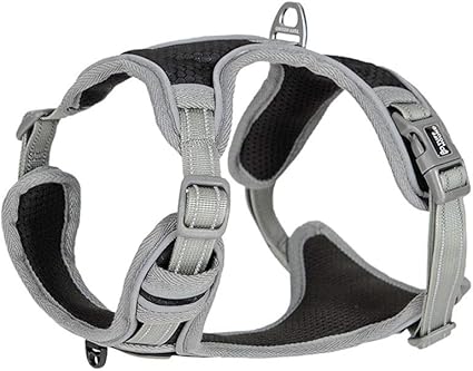 tractor supply dog harness