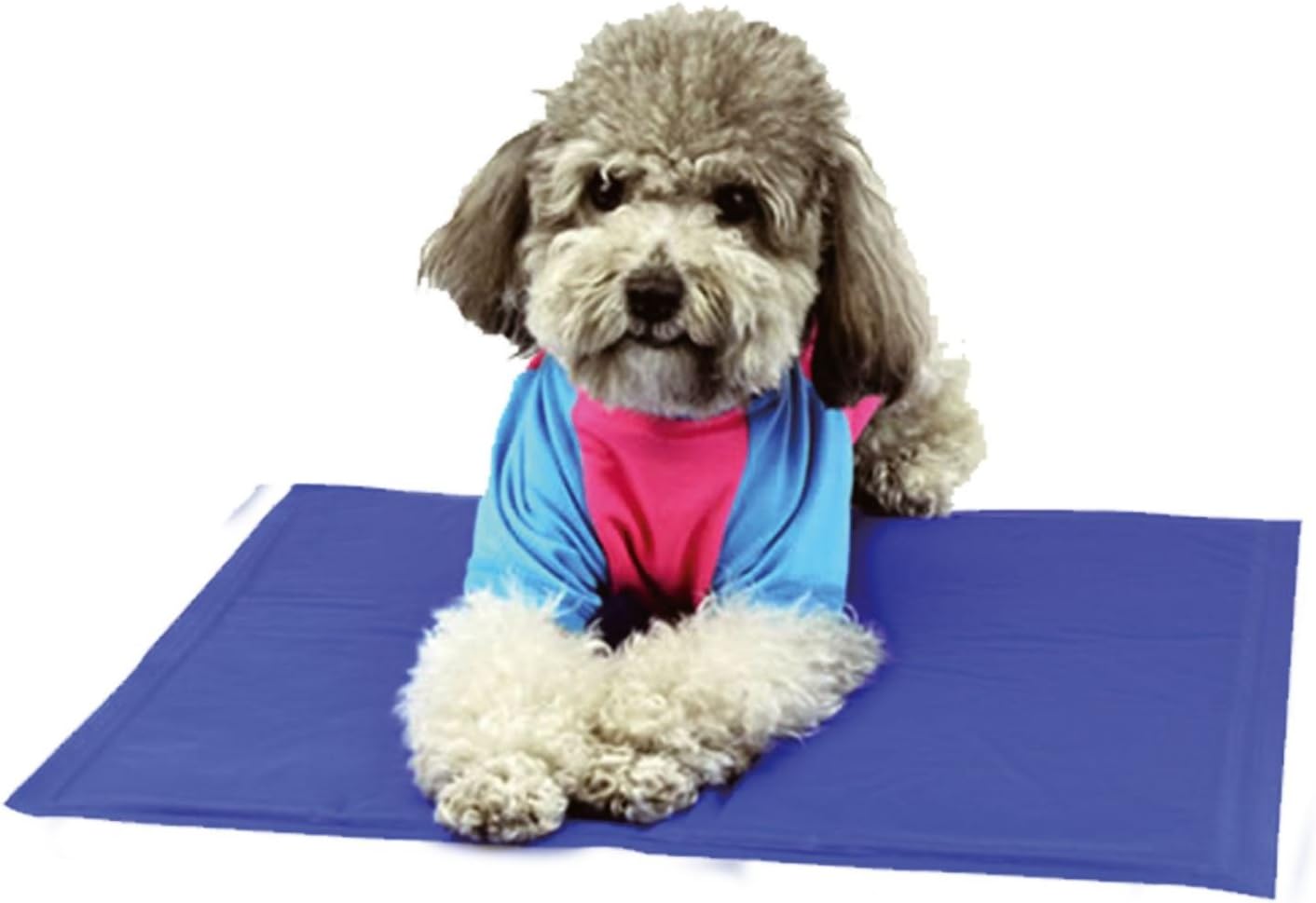 paw pride cooling mat