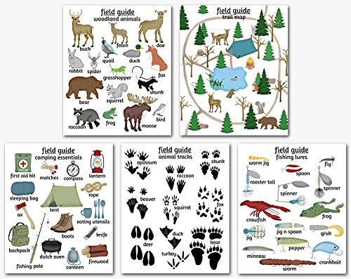 Woodland Nursery Art, Field Guide Series - Animal Tracks, Camping, Trail Map, Fishing Lure and Animal Poster. Deer, Bear, Fox, Moose, Children's Decor (8x10, On White)