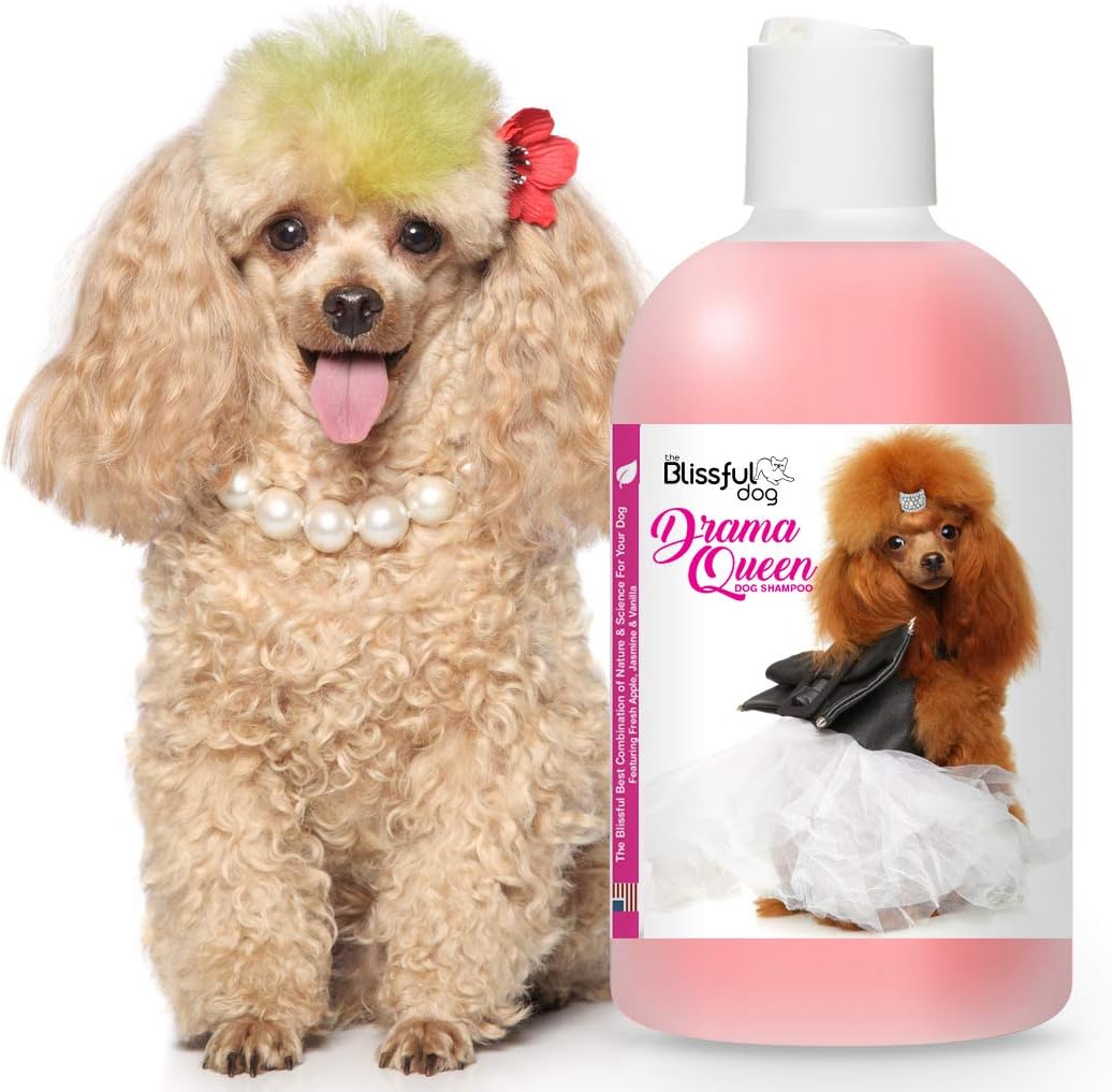 poodle shampoo and conditioner