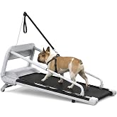 Dog Treadmill for Medium Small Dogs with 5% Incline Pet Exercise Machine | 0.5-6MPH;2.5HP Power Motor;5% Incline;Remote Control;2-in-1 Walking Pad