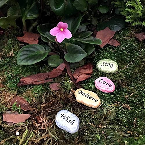 Flower Fairies Secret Garden - Stepping stonesâ€¦