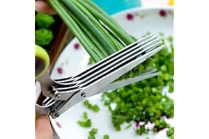 INFANTLY BRIGHT Multi-Layers Kitchen Herb Scissors , 5 Blade Kitchen Shears Scallion Cutter Laver Spices Herb Spice Kitchen Slicer Shredded Scallion Chive Cutter for Cutting Cilantro Onion Salad Garden Herbs