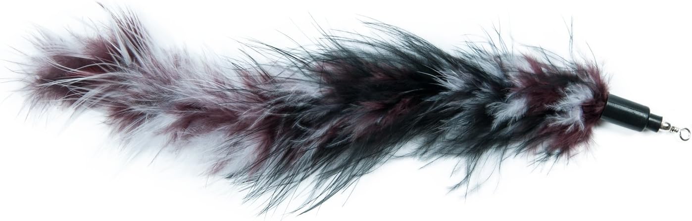 EcoCity Cat Wand Feather Refills for Interactive Cat and Kitten Wands Include 6 Pieces Replacement Feathers and 1 Soft Furry Tail (7 Pieces) : Pet Supplies