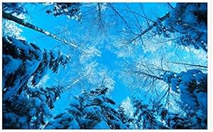 Lwcx Custom Photo Wallpaper 3d Stereoscopic Forest Sky Snow