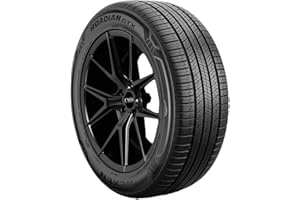 Nexen Roadian GTX 225/65R17 102V