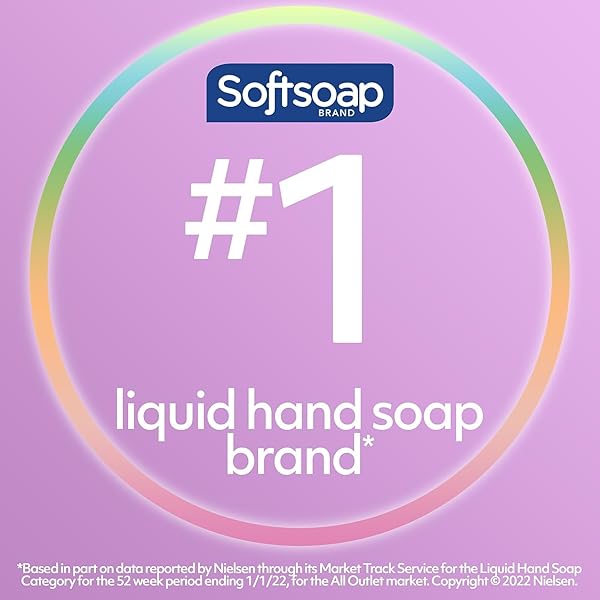SOFTSOAP LIQUID HAND SOAP PUMP, ANTIBACTERIAL WHITE TEA AND BERRY FUSION, 11.25 OUNCE