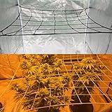 Flexible Net Trellis for Grow Tents, Fits 4x4 and more size, Includes 4 Steel Hooks, 36 Growing Spaces
