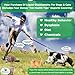 BeMedFree.com Extra Strength Liquid Glucosamine For Dogs & Cats, Soothing Joint Relief, 16 fl.oz