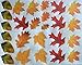 Autumn Wafer Edible Leaves ~ Edible Wafer Paper Sheet ~ BUY TWO GET THIRD FREE!