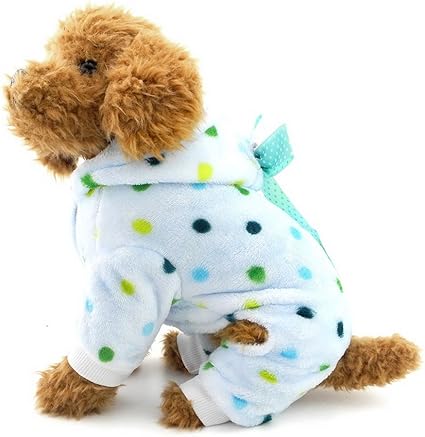 outfits for small dogs