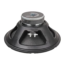 Sound Town 12-Inch 65 Watt Replacement Guitar