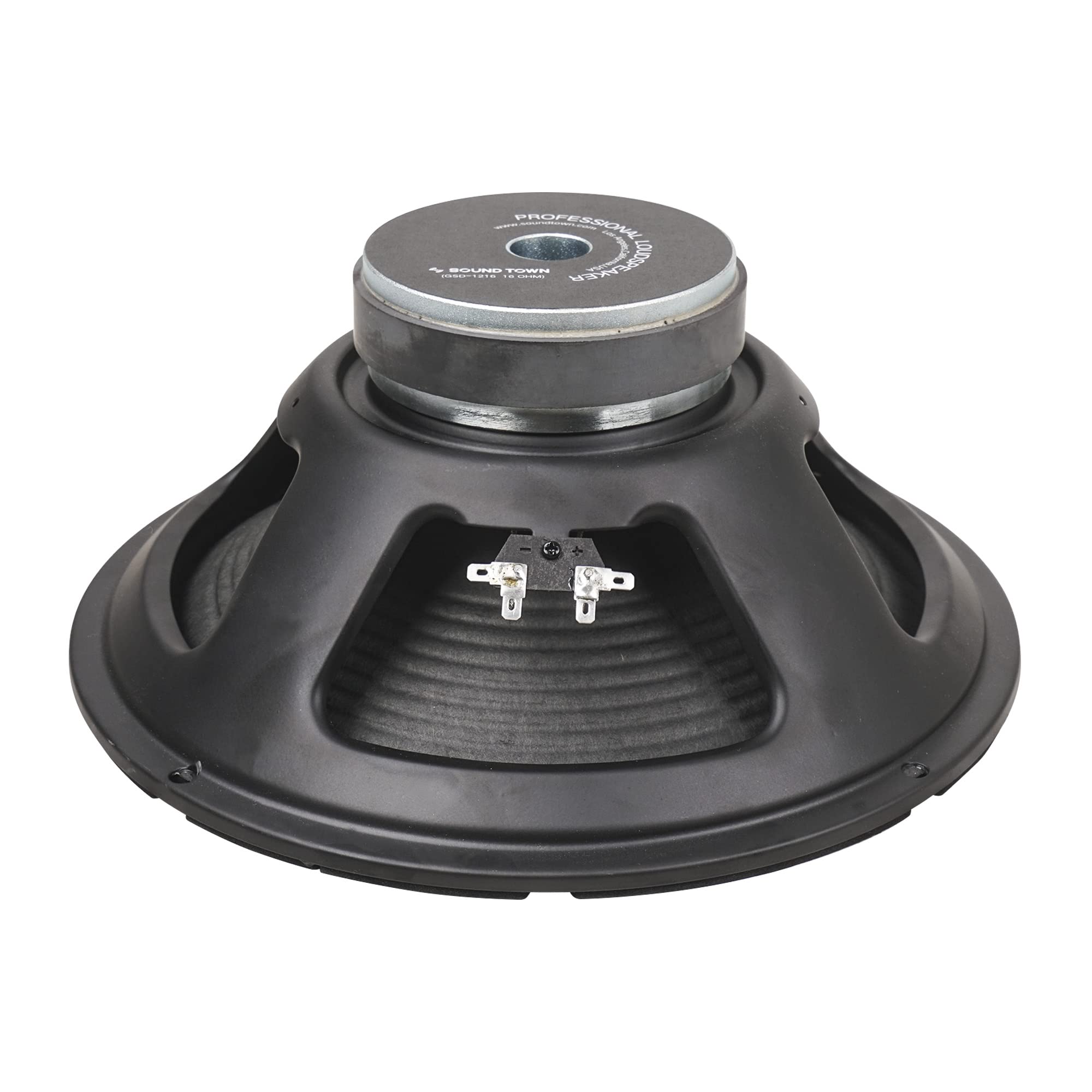 Sound Town 12-Inch 65 Watt Replacement Guitar