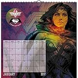 Wonder Woman - 2017 Spiral Bound Calendar 14 x 10in