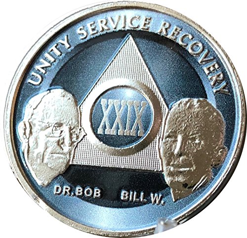 29 Year AA Founders Medallion Titanium Nickel Plated Anniversary Chip XXIX